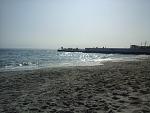     
: 20191020_115057.jpg
: 29
:	155.9 
ID:	13233979