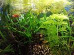     
: IMG_20191020_155512.jpg
: 13
:	194.6 
ID:	13234290