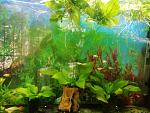     
: IMG_20191020_155457.jpg
: 14
:	154.6 
ID:	13234291