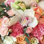     
: 2427_1.jpg
: 11
:	43.2 
ID:	13235284
