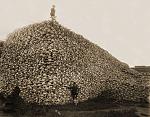    
: Bison_skull_pile-restored.jpg
: 22
:	241.9 
ID:	13236510