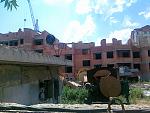     
: 17072010032.jpg
: 37
:	165.2 
ID:	1323739