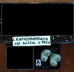     
: bella.jpg
: 12
:	73.6 
ID:	13239284