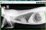     
: 1 1.png
: 151
:	144.3 
ID:	13244788