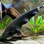     
: images (20).jpeg
: 12
:	10.8 
ID:	13245812