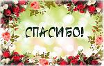     
: sps.jpg
: 17
:	186.0 
ID:	13246231