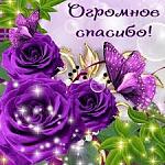     
:   (3).jpeg
: 11
:	13.7 
ID:	13246233