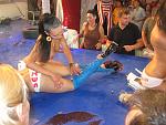     
: IMG_8667.jpg
: 204
:	136.3 
ID:	1324661