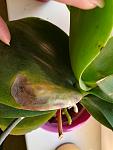     
: IMG_20191111_075836.jpg
: 17
:	72.3 
ID:	13247241