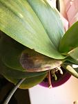     
: IMG_20191111_075820.jpg
: 12
:	71.4 
ID:	13247245