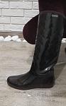     
: 20190303_130142.jpg
: 12
:	78.4 
ID:	13247515