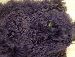     
: 20180116_103039.jpg
: 14
:	164.1 
ID:	13247564