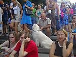     
: Video 217 0 00 06-11.jpg
: 29
:	86.6 
ID:	1324879