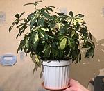     
: n-QHCU4j2ic.jpg
: 58
:	138.1 
ID:	13249103