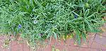     
: 20191113_151034.jpg
: 13
:	229.6 
ID:	13249119
