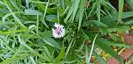     
: 20191113_151040.jpg
: 13
:	148.9 
ID:	13249120