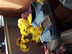     
: 20191114_124616.jpg
: 7
:	134.9 
ID:	13249688