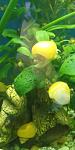     
: IMG_20191115_204301.jpg
: 92
:	54.1 
ID:	13250508