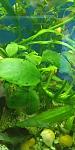     
: IMG_20191115_204247.jpg
: 106
:	65.7 
ID:	13250509