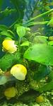     
: IMG_20191115_204235.jpg
: 100
:	58.6 
ID:	13250510