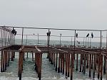     
: IMG_20191116_132424.jpg
: 25
:	129.2 
ID:	13251009
