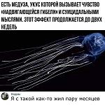     
: FB_IMG_1574477885854.jpg
: 22
:	124.5 
ID:	13254741