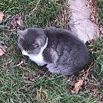    
: IMG_20191124_172111_803.jpg
: 9
:	59.4 
ID:	13255667