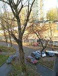     
: _viber_2019-11-30_12-11-25.jpg
: 19
:	201.7 
ID:	13259172