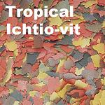     
: Tropical Ichtio-vit.jpg
: 26
:	108.5 
ID:	13259737