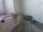     
: NCM_2246.jpg
: 28
:	105.7 
ID:	13263004