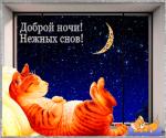    
: 889204025.jpg
: 9
:	54.6 
ID:	13264475