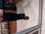     
: 20191014_155716.jpg
: 12
:	136.6 
ID:	13264946