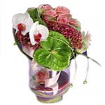     
: 4d060965a67d.jpg
: 8
:	42.5 
ID:	132670