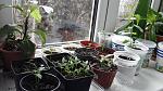    
: 20191214_103329.jpg
: 13
:	148.9 
ID:	13268732
