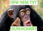     
: 79094687_1004320423256722_366723377387274240_n.jpg
: 5
:	26.1 
ID:	13269027