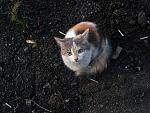     
: IMG_20191222_160343.jpg
: 16
:	177.2 
ID:	13273275