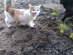     
: IMG_20191222_160051.jpg
: 15
:	195.3 
ID:	13273276