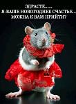     
: 0-02-0a-ac088ae0a984c287786b2f5d13508e09ae3da9c6dfcad6b3edc597fe024a97c0_84f35b16.jpg
: 22
:	155.3 
ID:	13273282