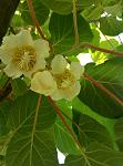     
: P90527-154456.jpg
: 24
:	81.4 
ID:	13274076