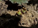     
: P90604-121511.jpg
: 14
:	168.5 
ID:	13274077