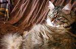     
: PICT0046.jpg
: 32
:	105.9 
ID:	1327535