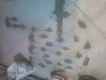     
: NCM_2341.jpg
: 28
:	114.8 
ID:	13275907