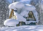     
: animacionnye-otkrytki-s-novym-2020-godom-krysy-3.jpg
: 33
:	57.7 
ID:	13276193