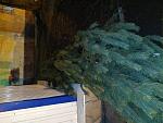     
: IMG_20191231_230734.jpg
: 32
:	100.4 
ID:	13276711