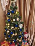     
: IMG_20191231_232917.jpg
: 18
:	121.5 
ID:	13276713