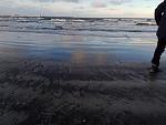     
: IMG_20191219_134716.jpg
: 4
:	113.2 
ID:	13280499