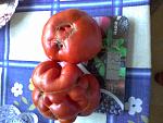     
: 20190803_090928.jpg
: 12
:	112.6 
ID:	13280929