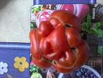     
: 20190803_090817.jpg
: 19
:	107.5 
ID:	13280931