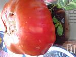     
: 20190811_170737.jpg
: 14
:	87.9 
ID:	13280932