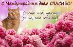     
: __1578657456-4885.jpg
: 9
:	128.2 
ID:	13281281